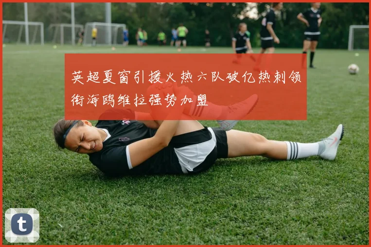 英超夏窗引援火热六队破亿热刺领衔海鸥维拉强势加盟